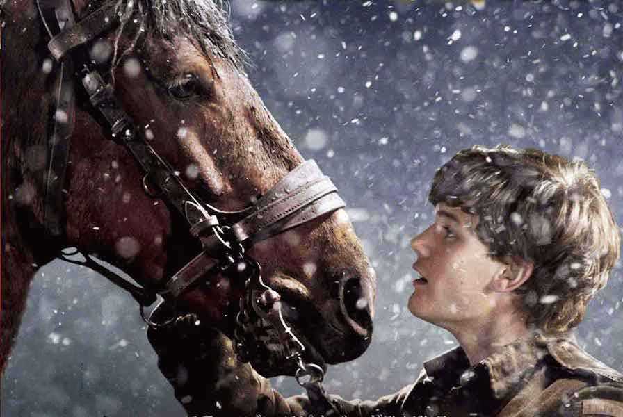 映画戦火の馬