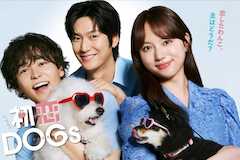 初恋DOGsの視聴率
