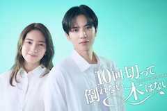 10回切って倒れない木はないの視聴率