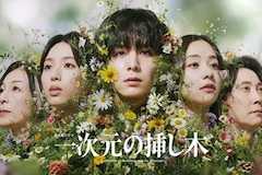 一次元の挿し木の視聴率
